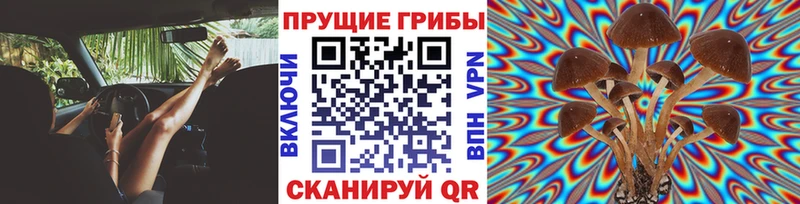 Псилоцибиновые грибы мухоморы  Купить  Саранск 